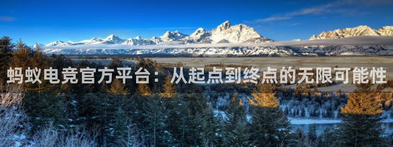 威客电竞测速：蚂蚁电竞官方平台：从起点到终点的无限可能性