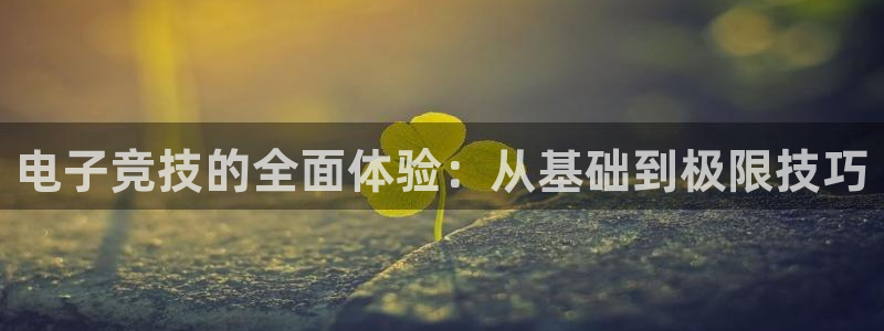 威客电竞网页版入口：电子竞技的全面体验：从基础到极限技巧