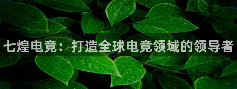 威客电竞官网登录入口：七煌电竞：打造全球电竞领域的领导者