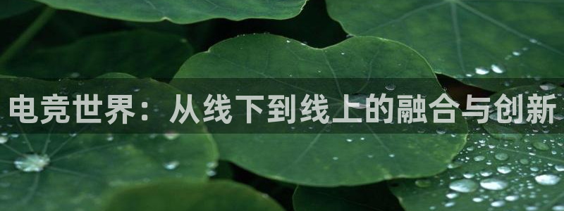 威客电竞·(中国)VKGAMING：电竞世界：从线下到线上的融合与创新