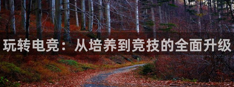 威客电竞官网：玩转电竞：从培养到竞技的全面升级