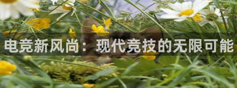 威客电竞 optic：电竞新风尚：现代竞技的无限可能