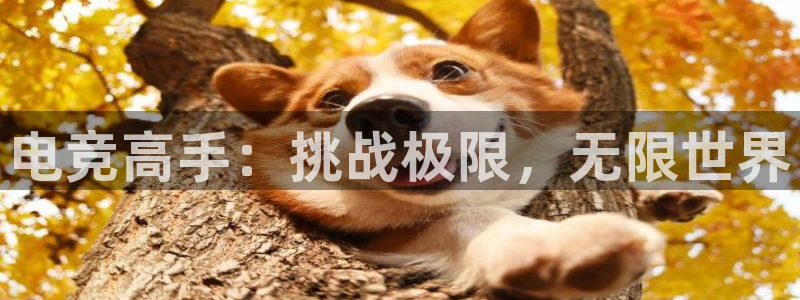 威客电竞吧官网安卓版：电竞高手：挑战极限，无限世界