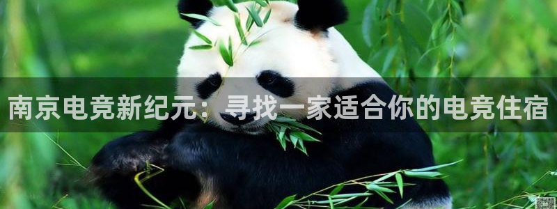 威客电竞酒店：南京电竞新纪元：寻找一家适合你的电竞住宿