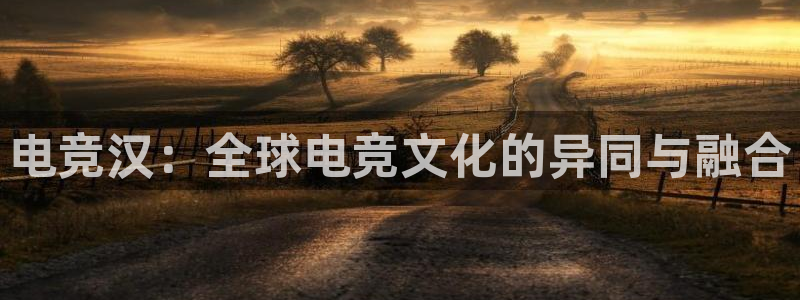 威客电竞酒店：电竞汉：全球电竞文化的异同与融合