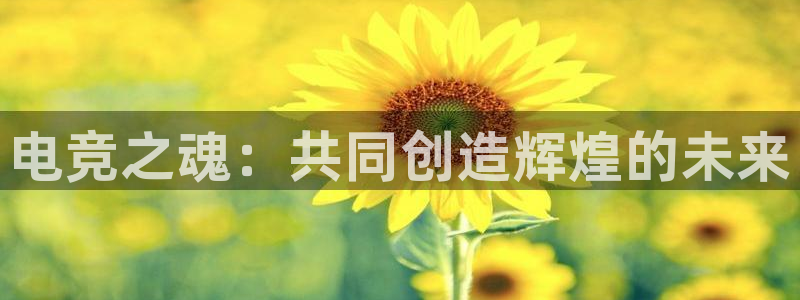 威客电竞客：电竞之魂：共同创造辉煌的未来