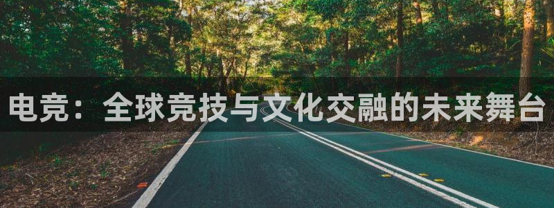 威客电竞酒店：电竞：全球竞技与文化交融的未来舞台
